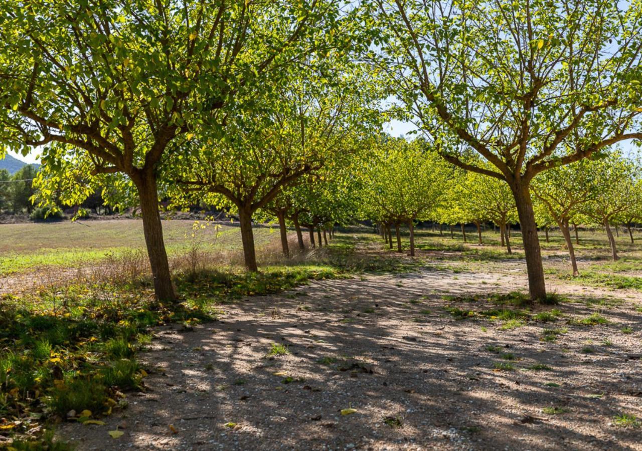 Masia Aubareda San Martín de Tous エクステリア 写真