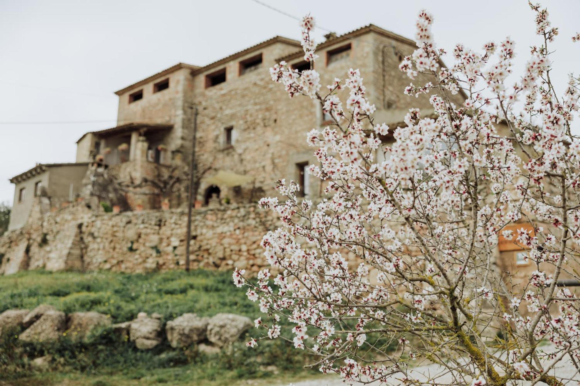 Masia Aubareda San Martín de Tous エクステリア 写真